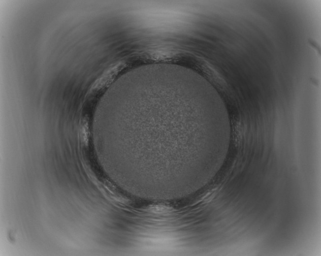 X0000099480644200805161136