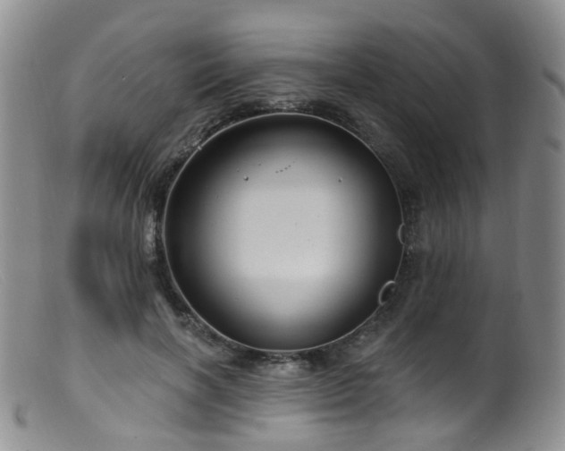 X0000099480646200805161136