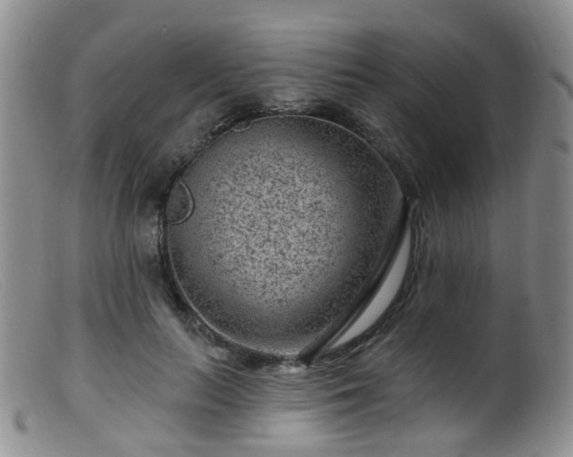 X0000099480647200805161136