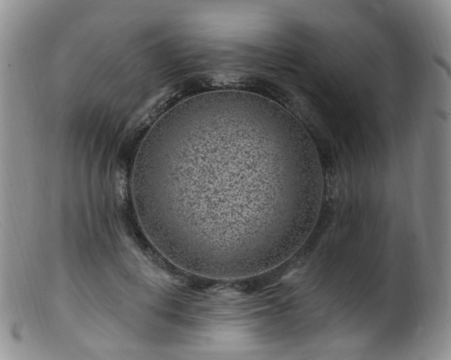 X0000099480648200805161136
