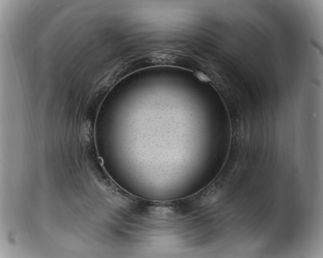 X0000099480649200805161136