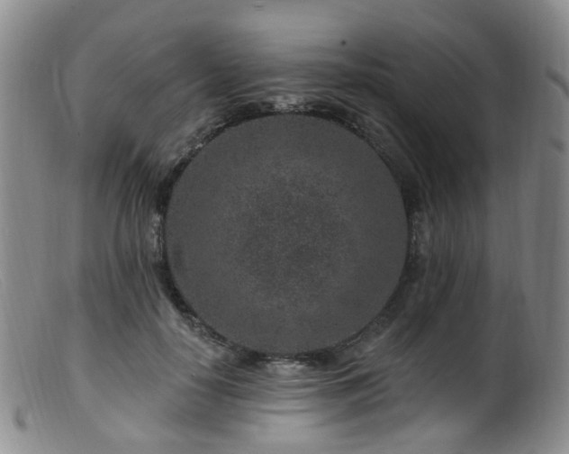 X0000099480650200805161136