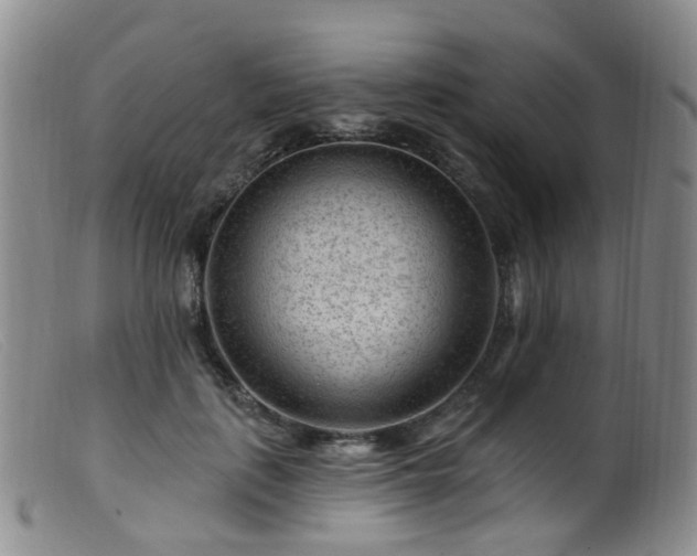 X0000099480651200805161136