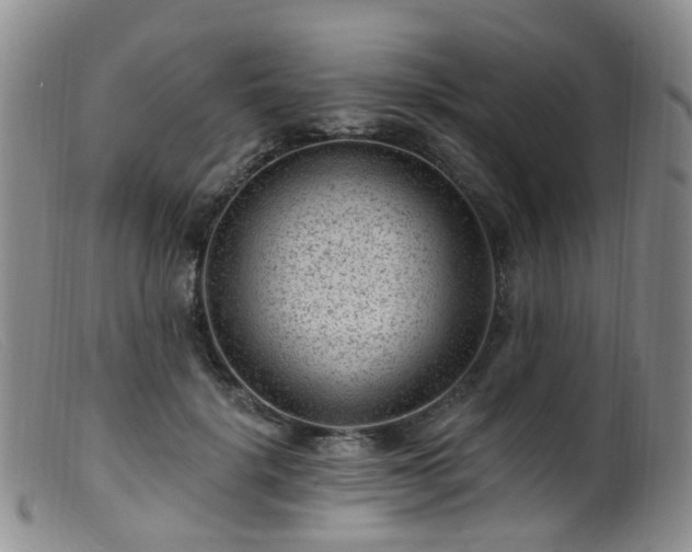 X0000099480652200805161136