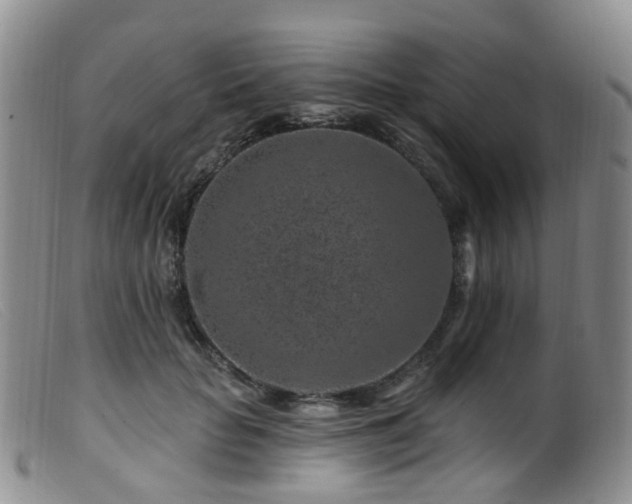 X0000099480653200805161136