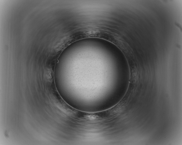 X0000099480654200805161136