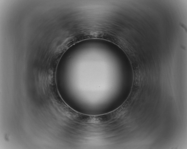 X0000099480656200805161136