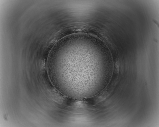 X0000099480657200805161136