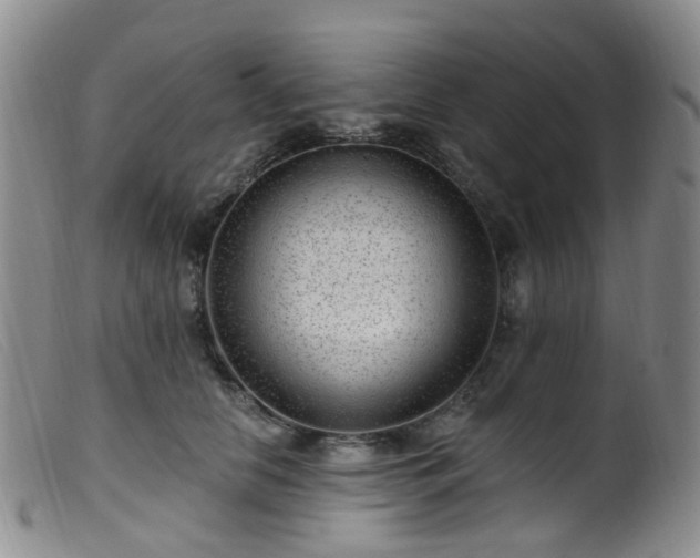 X0000099480658200805161136