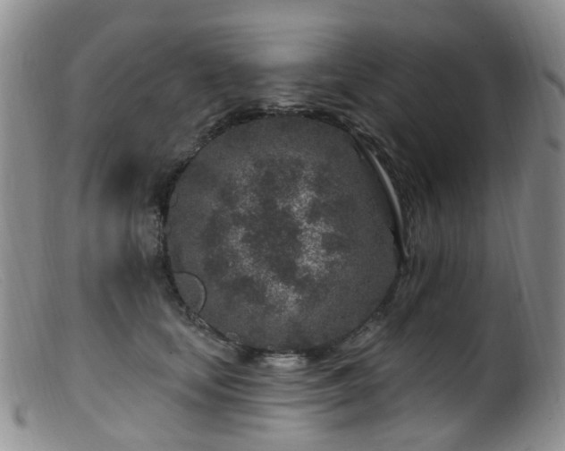 X0000099480659200805161136