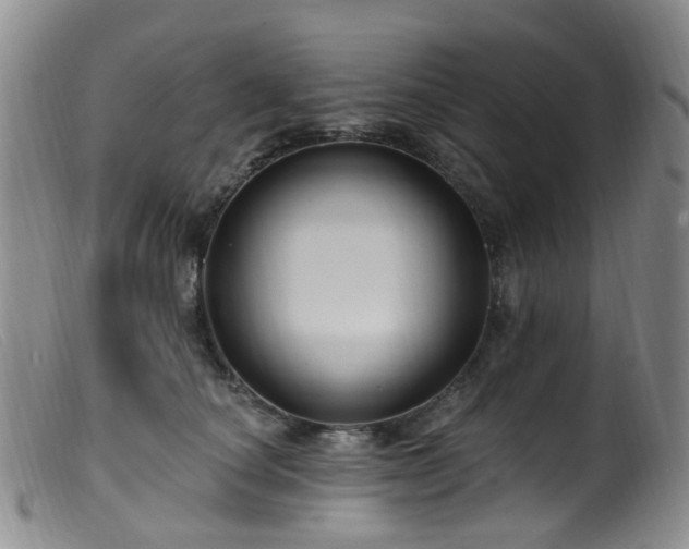 X0000099480660200805161136