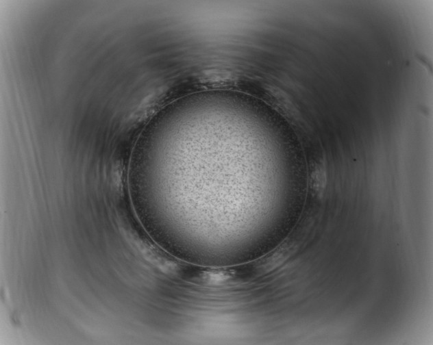 X0000099480662200805161136