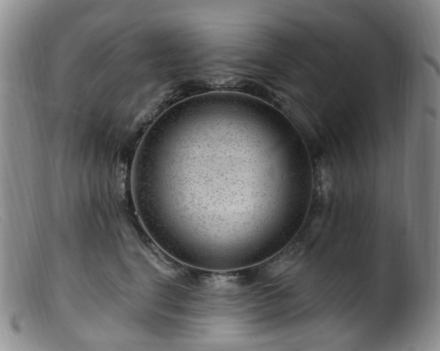 X0000099480664200805161136