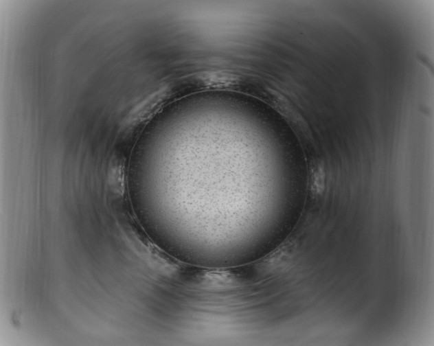 X0000099480666200805161136