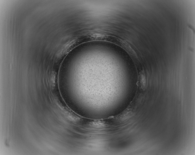 X0000099480668200805161136