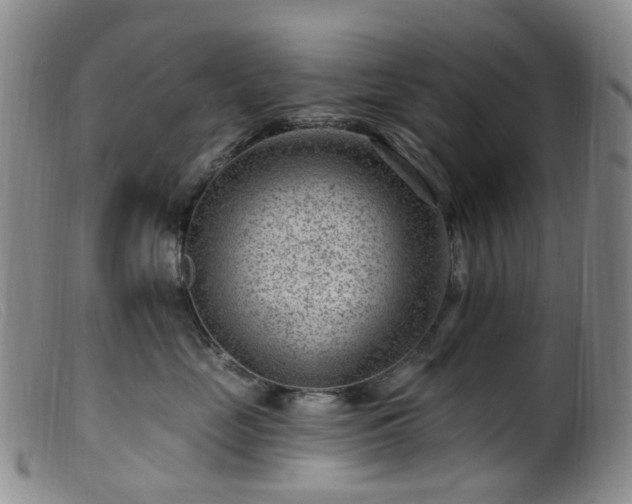 X0000099480669200805161136