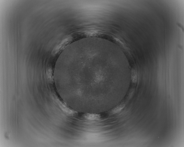 X0000099480670200805161136