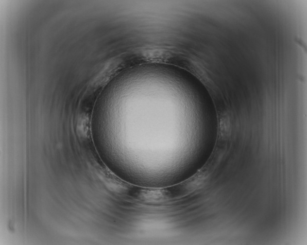 X0000099480671200805161136