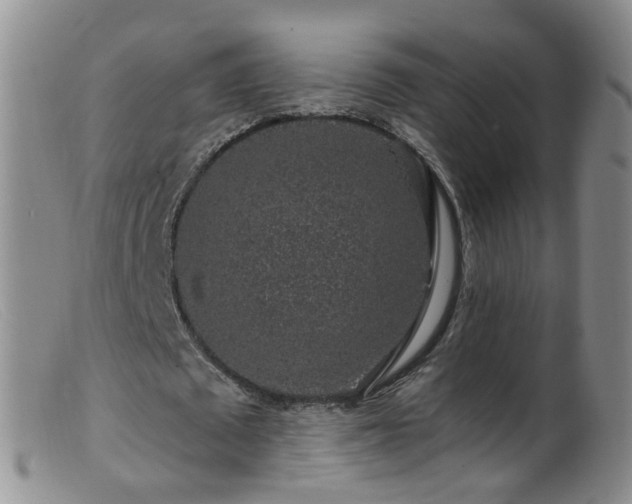 X0000099480673200805161136
