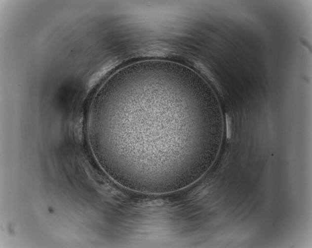 X0000099480675200805161136