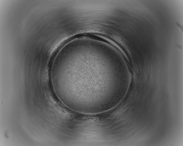X0000099480676200805161136