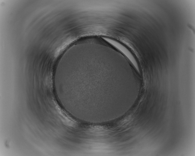 X0000099480677200805161135