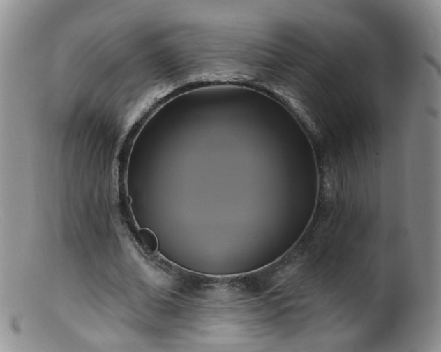 X0000099480678200805161135