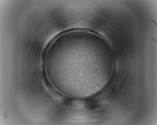 X0000099480680200805161135