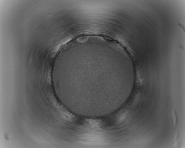 X0000099480681200805161135