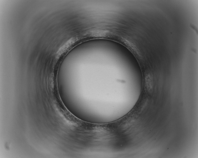 X0000099480682200805161135
