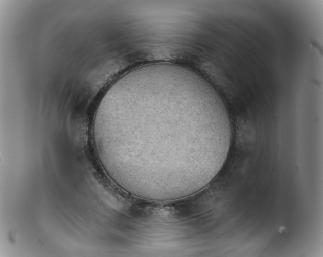 X0000099480683200805161135