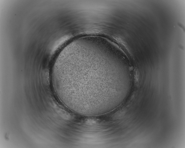 X0000099480684200805161135