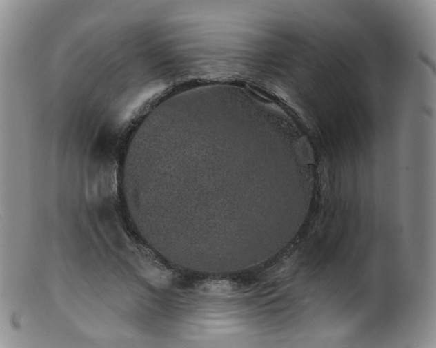 X0000099480685200805161135