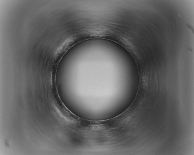 X0000099480686200805161135