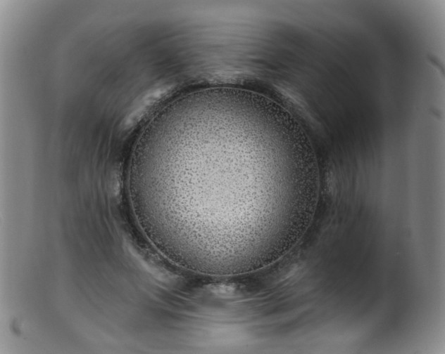 X0000099480687200805161135
