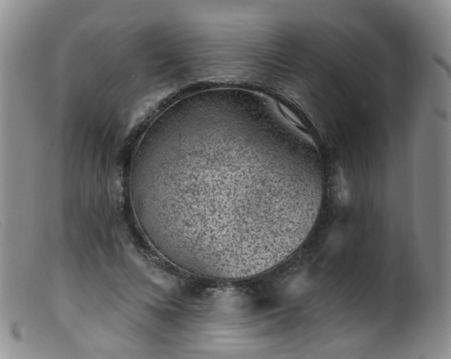 X0000099480688200805161135