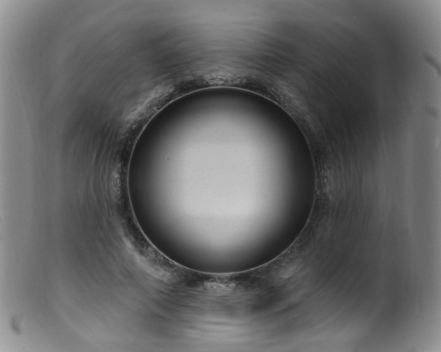 X0000099480690200805161135