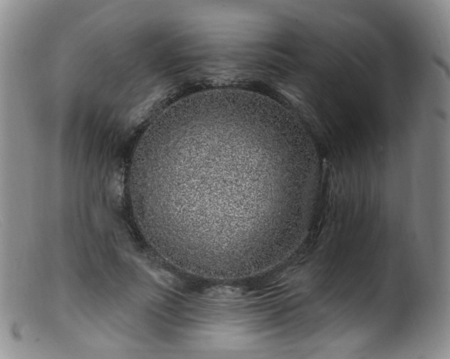 X0000099480691200805161135