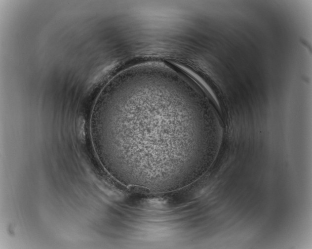 X0000099480692200805161135
