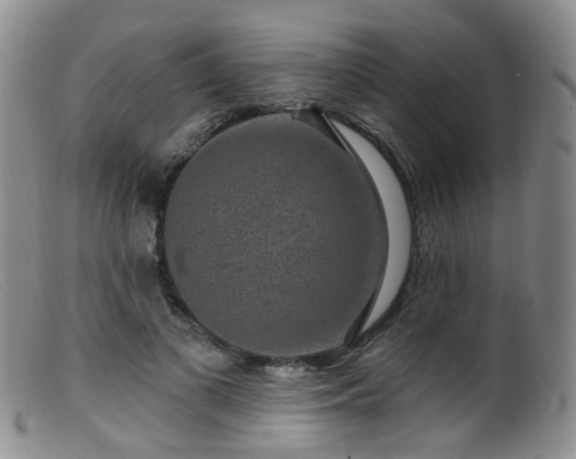 X0000099480693200805161135