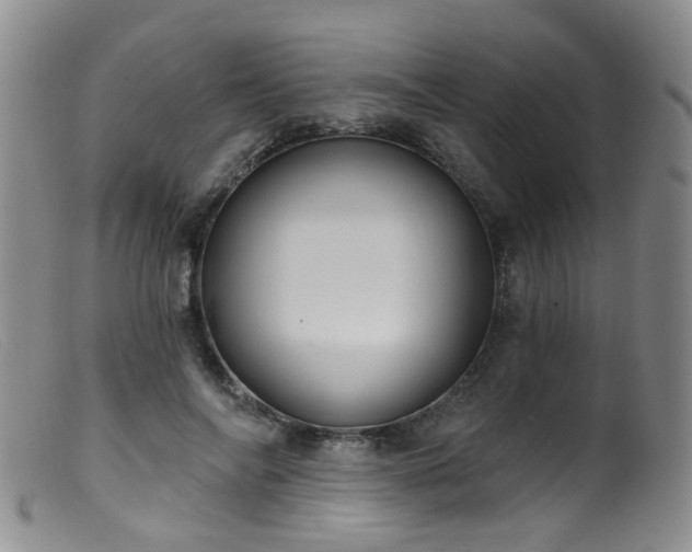 X0000099480694200805161135