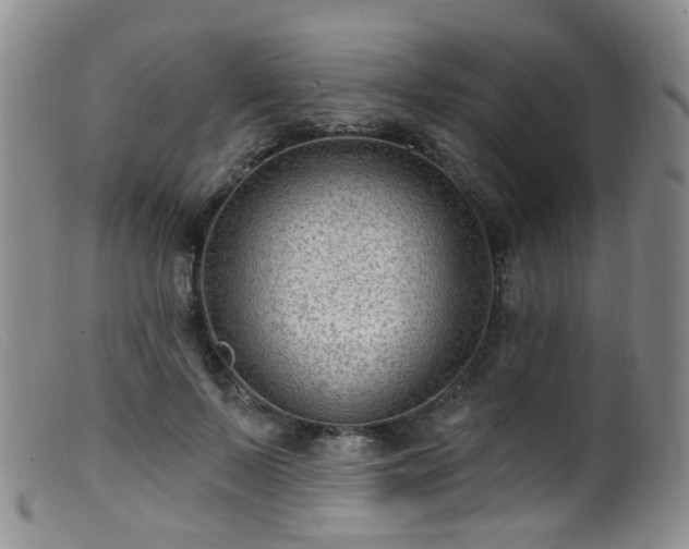 X0000099480695200805161135