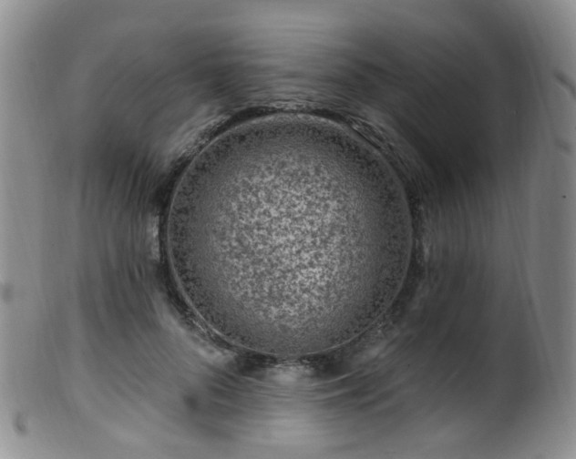 X0000099480696200805161135