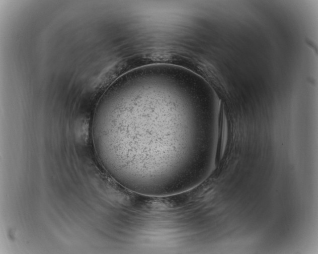 X0000099480697200805161135