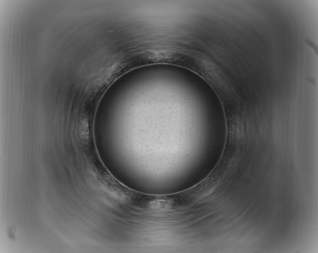 X0000099480700200805161135
