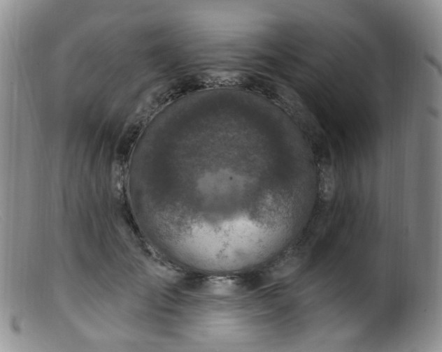 X0000099480701200805161135