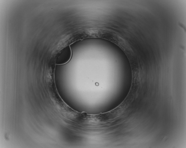 X0000099480702200805161135