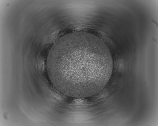X0000099480703200805161135