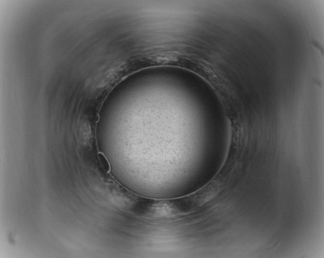 X0000099480704200805161135