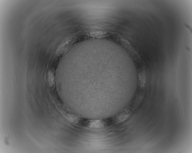 X0000099480705200805161135